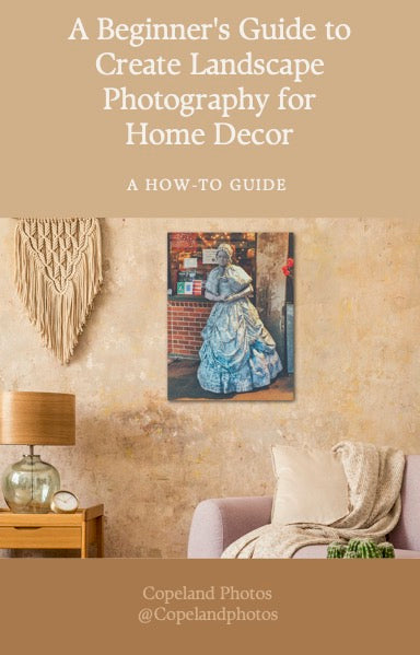 Beginner's Guide to Create Landscape Photography for Home Decor Ebook